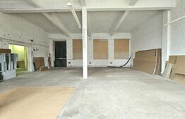 Spatiu comercial, SAD, versatil, 200mp