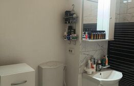 Apartament 2 camere, 55 mp, zona Dambovita