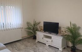 Apartament 2 camere, 55 mp, zona Dambovita