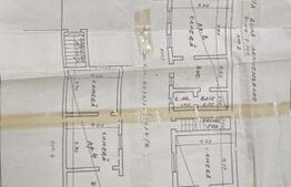 Casa individuala, 5 apartamente, 308 mp, zona Traian 