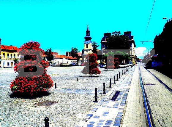 Casa de vânzare 11 camere Traian - 187659CV | BLITZ Timișoara | Poza1