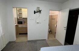 Garsoniera de inchiriat, 16 mp, zona Lipovei 