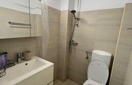 Garsoniera de inchiriat, 16 mp, zona Lipovei 