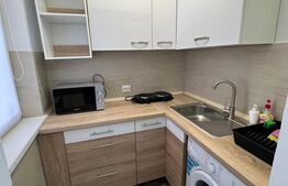 Garsoniera de inchiriat, 16 mp, zona Lipovei 