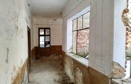 Vand casa ce necesita revonare la Zgribesti nr 100 strada Principala 1 hectar