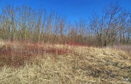 Vand casa ce necesita revonare la Zgribesti nr 100 strada Principala 1 hectar