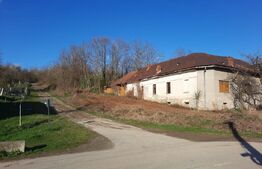 Vand casa ce necesita revonare la Zgribesti nr 100 strada Principala 1 hectar