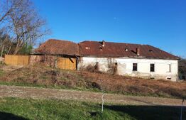 Vand casa ce necesita revonare la Zgribesti nr 100 strada Principala 1 hectar