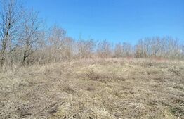 Vand casa ce necesita revonare la Zgribesti nr 100 strada Principala 1 hectar