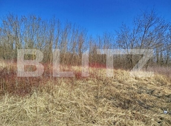 Casa de vânzare 4 camere Lugoj - 187699CV | BLITZ Timișoara | Poza8