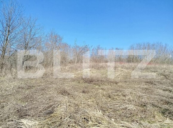 Casa de vânzare 4 camere Lugoj - 187699CV | BLITZ Timișoara | Poza9