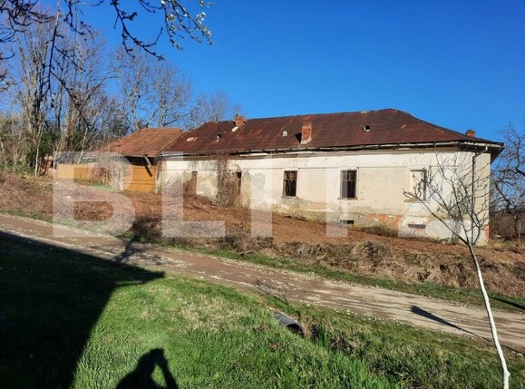 Casa de vânzare 4 camere Lugoj - 187699CV | BLITZ Timișoara | Poza1