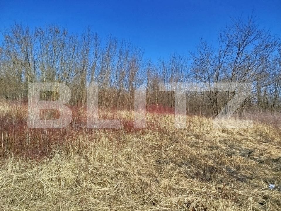 Casa de vânzare 4 camere Lugoj - 187699CV | BLITZ Timișoara | Poza8