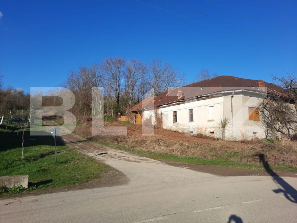 Casa de vânzare 4 camere Lugoj - 187699CV | BLITZ Timișoara | Poza3