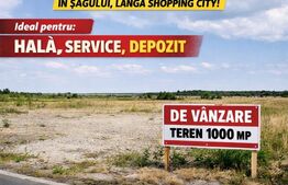 Teren de vânzare Sag - 165450TV | BLITZ Timișoara | Poza4