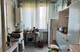 Apartament spațios cu 3 camere, situat central în Timișoara