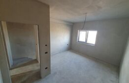 Casa tip duplex Mosnita Noua