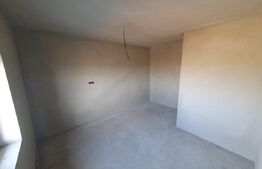 Casa tip duplex Mosnita Noua