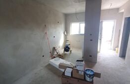 Casa tip duplex Mosnita Noua