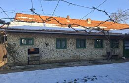 Vand casa in Rachita str. principala 