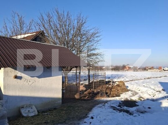 Casa de vânzare 4 camere Lugoj - 187939CV | BLITZ Timișoara | Poza7