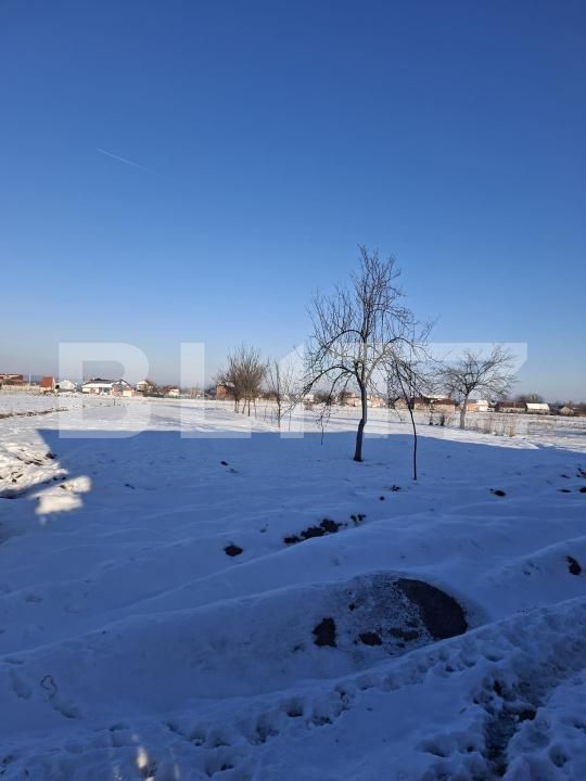 Casa de vânzare 4 camere Lugoj - 187939CV | BLITZ Timișoara | Poza12