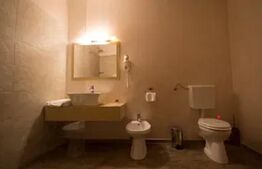 Garsoniere tip cămin de închiriat, 25 mp, zona Complexul Studentesc