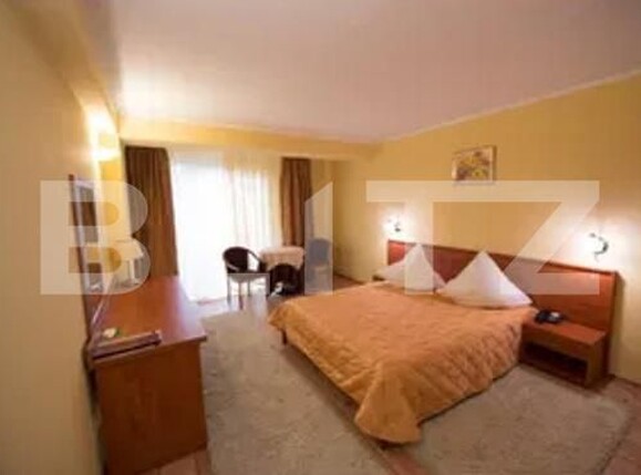 Garsonieră de închiriat Complex Studentesc - 187991AI | BLITZ Timișoara | Poza2