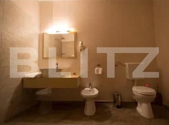 Garsonieră de închiriat Complex Studentesc - 187991AI | BLITZ Timișoara | Poza5