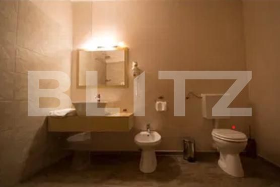 Garsonieră de închiriat Complex Studentesc - 187991AI | BLITZ Timișoara | Poza5