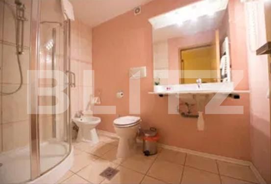 Garsonieră de închiriat Complex Studentesc - 187991AI | BLITZ Timișoara | Poza6