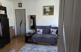 Apartament 2 camere, 40 mp, zona Iosefin
