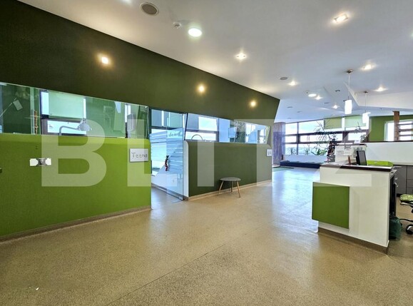 Spațiu comercial de închiriat Dambovita - 188084SIC | BLITZ Timișoara | Poza1