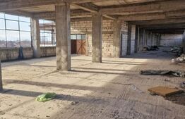 Oportunitate rară de investiție: clădire industrială cu teren generos, Freidorf