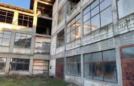 Oportunitate rară de investiție: clădire industrială cu teren generos, Freidorf