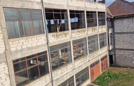 Oportunitate rară de investiție: clădire industrială cu teren generos, Freidorf