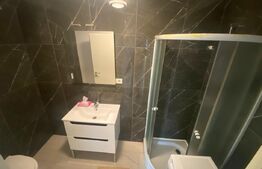 Apartament 3 camere zona Elisabetin - restaurant Valahia