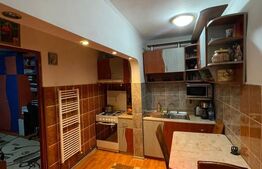 Apartament 2 camere, 46mp, zona Iosefin 