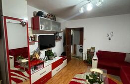 Apartament 2 camere, 46mp, zona Iosefin 