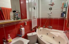 Apartament 2 camere, 46mp, zona Iosefin 