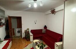 Apartament 2 camere, 46 mp, zona Iosefin 