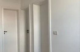 Casa Duplex modern Mosnita Noua, iesirea spre Timisoara