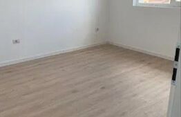 Casa Duplex modern Mosnita Noua, iesirea spre Timisoara