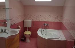 Casa individuala 5 camere 200mp utili 740 teren Mosnita Noua