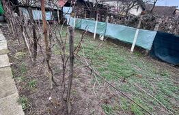 Casă individuală de renovat, 92 mp utili, teren 386 mp, Timișoara