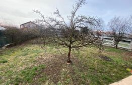 Casa individuala 200 mp, reg P+1, zona Mosnita Noua