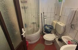 Casa de vanzare, 200 mp utili, 460 mp teren, zona Sala Olimpia