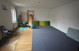 Casa de vanzare, 200 mp utili, 460 mp teren, zona Sala Olimpia