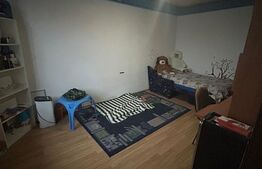 Casa de vanzare, 200 mp utili, 460 mp teren, zona Sala Olimpia