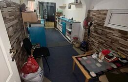 Casa de vanzare, 200 mp utili, 460 mp teren, zona Sala Olimpia